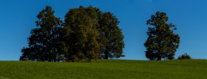 _MG_9921-Pano 